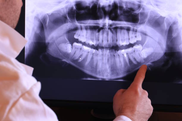 Best Emergency X-Rays and Diagnostics in Milford, IN